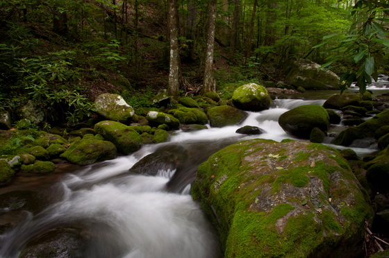 Great Smoky Mountain National Park