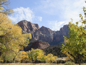 Zion National Park