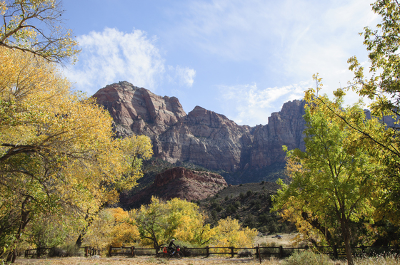 Zion National Park