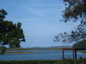 Kingsley Plantation