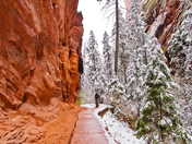 Zion National Park