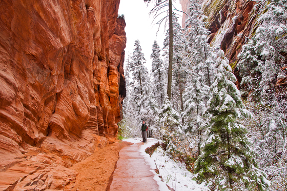 Zion National Park