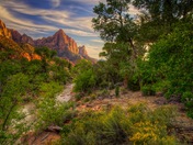 Zion NP
