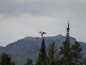 Grand Teton National Park
