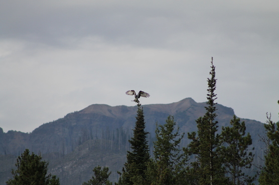 Grand Teton National Park