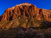 Zion National Park