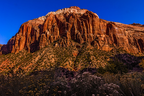 Zion National Park