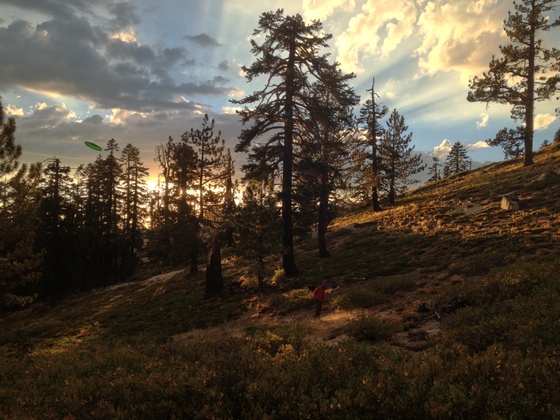 Humbold Toiyabe National Forest 