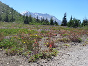 Mount St. Helens National Volcanic Monument