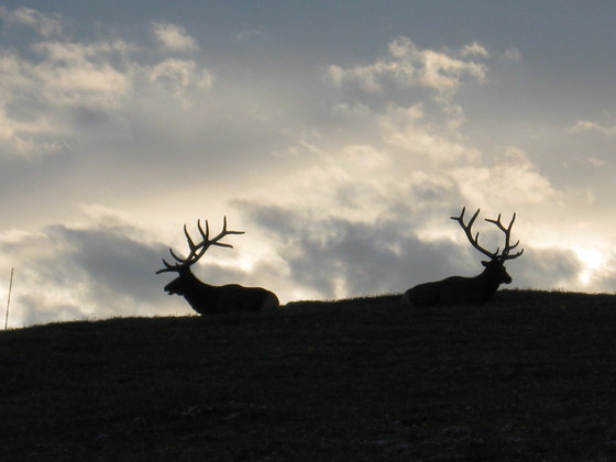 ROCKY MOUNTAIN NATIONAL PARK