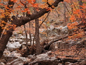 DOG CANYON GUADALUPE MOUNTAINS
