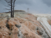Yellowstone National Parl