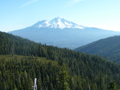 Shasta Trinity National Forest