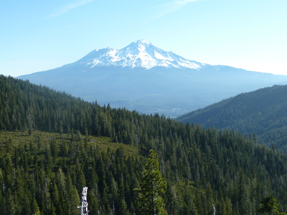 Shasta Trinity National Forest
