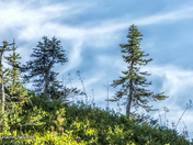 Mount Rainier National Park