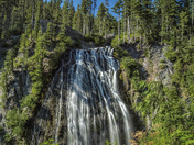 Mount Rainier National Park
