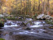 Great Smoky Mtns National Park