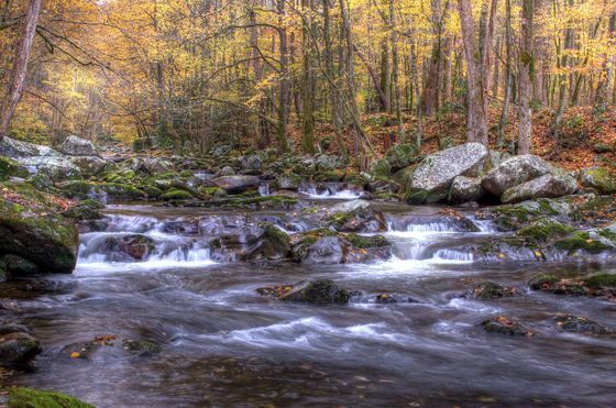 Great Smoky Mtns National Park