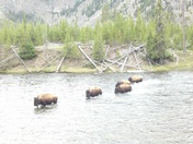 Yellowstone National Park