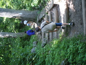 Shenandoah
