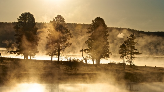 Yellowstone National Park
