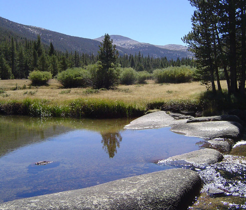 Yosemite National Park