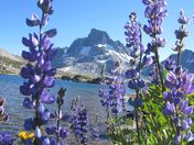 Inyo National Forest