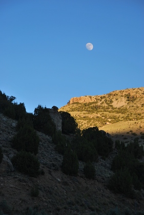 Shoshone National Forest