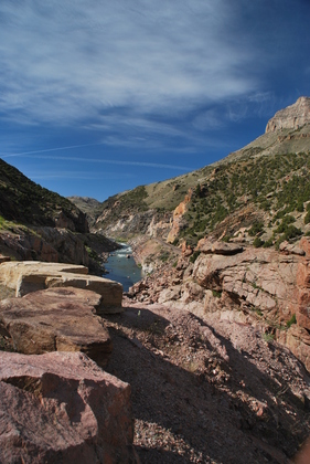 Shoshone National Forest