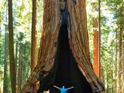 Sequoia National Park