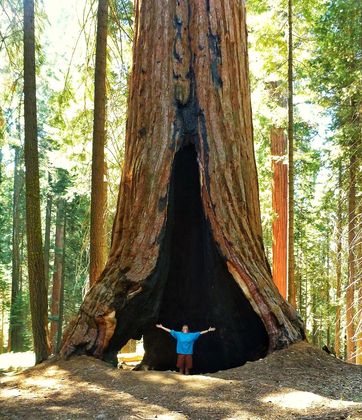 Sequoia National Park