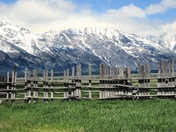 The Grand Tetons