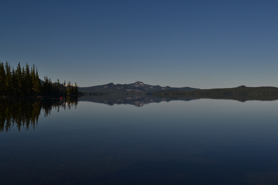 Willamette National Forest