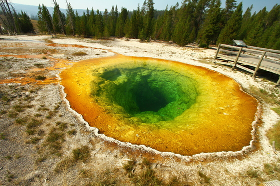 Yellowstone National Park, Wyoming