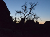 Arches National Park
