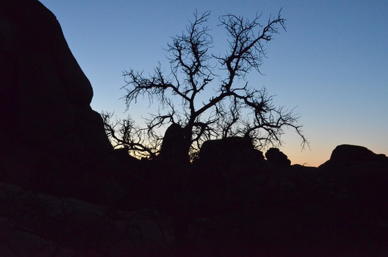 Arches National Park