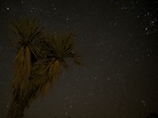 Joshua Tree National Park