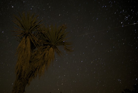 Joshua Tree National Park