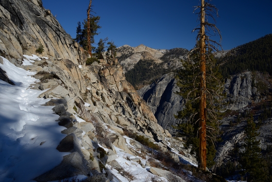 Sequoia National Park