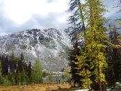 Okanogan National Forest