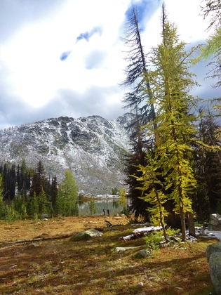 Okanogan National Forest