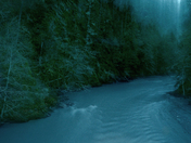 Olympic National Park 