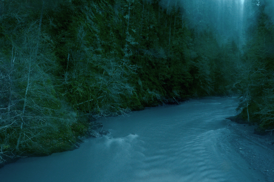 Olympic National Park 
