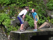 Pisgah National Forest/Davidson River Campground