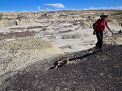 ah-shi-sle-pah wilderness
