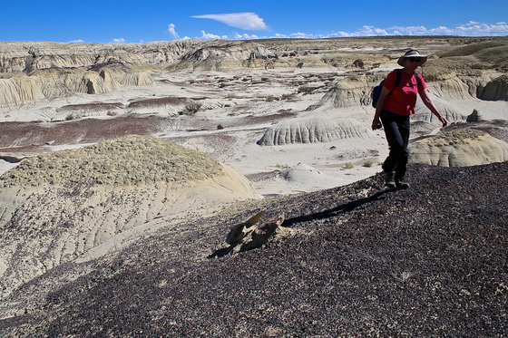 ah-shi-sle-pah wilderness