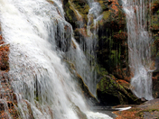 Cherokee national Forest