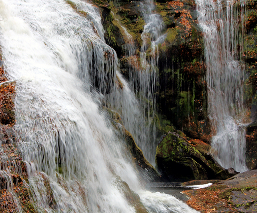 Cherokee national Forest
