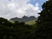 El Yunque National Forest