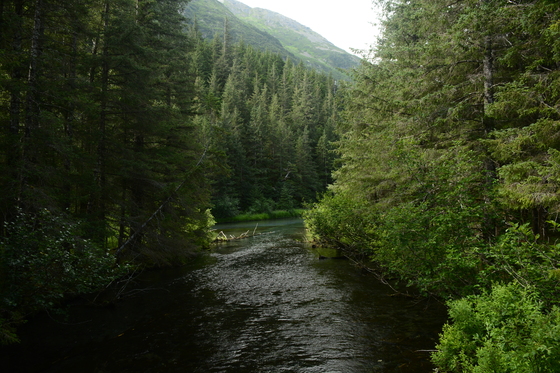 Chugach National Park